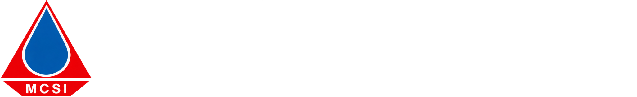 MCS Internasional